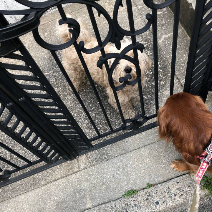 291859f7 dd8e 4f21 b428 dd9e8e32a42b 1557656315569