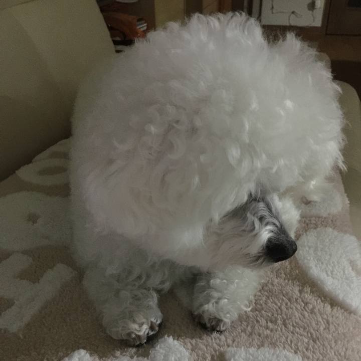 29185e50 116e 4f3b 92f9 f4311242a780 1542629335582