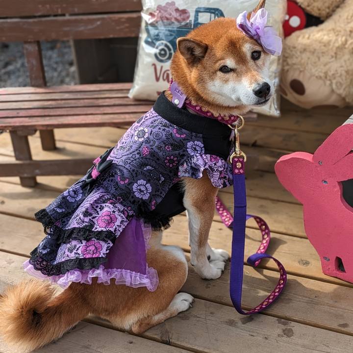 29189ccf 818f 479c ae92 9ef6cbc18254 1706666902105