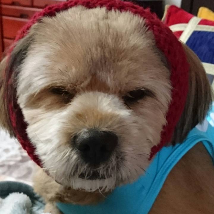 2918ab73 f119 4138 a45a 9cf792c530ed 1513553321994