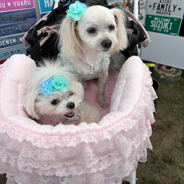 2918e394 f684 4f82 96fb 4a236c04de3c 1753527557155