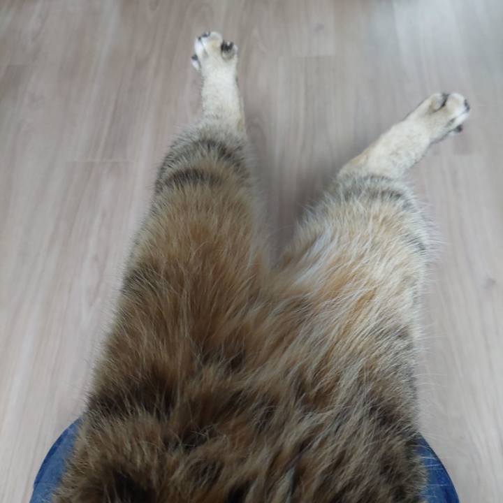 2918f4c4 efbc 4a85 a6fd 4cb8ddf82775 1670912374448