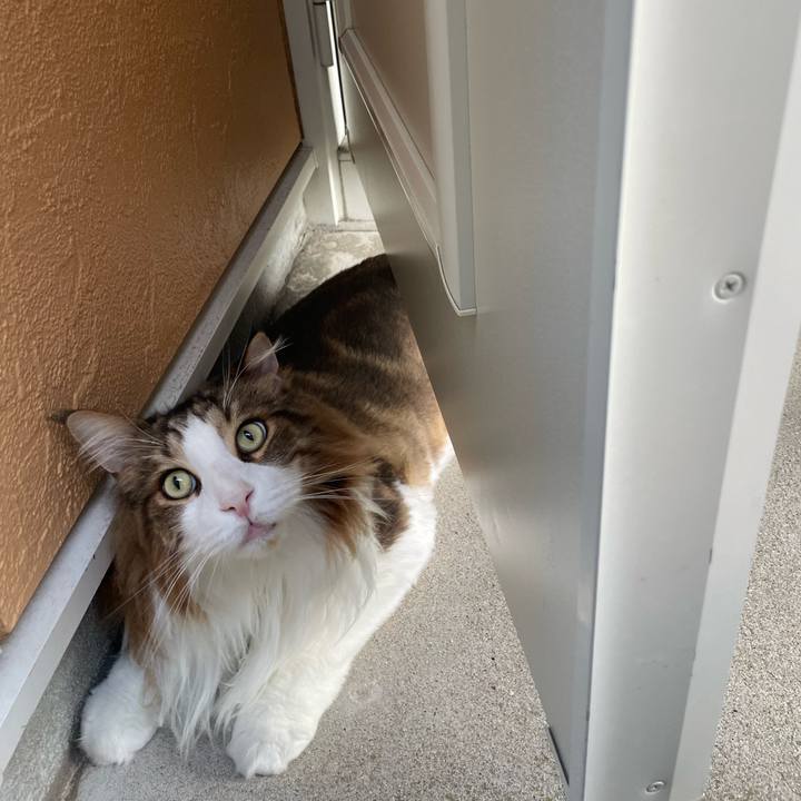 2918f982 16ca 424e 8279 69163fbcefa5 1753996634505