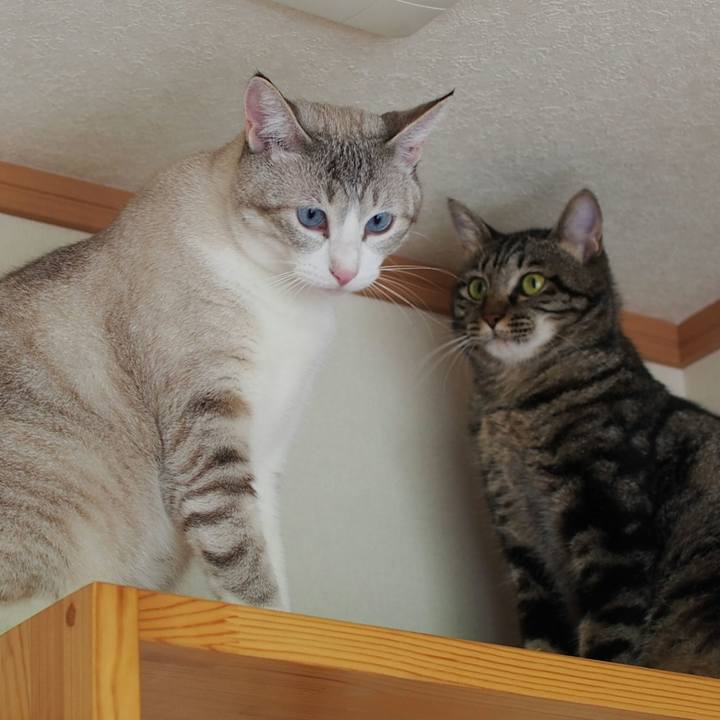 29192de2 b70a 4ba0 8ca5 9ee46ff141b5 1534123749842