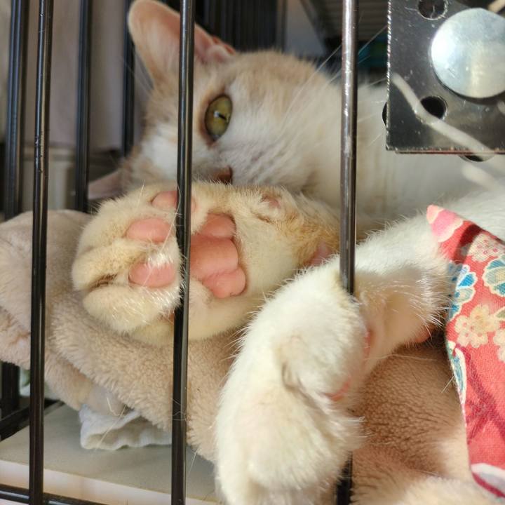 29197343 4084 4909 b8c6 0f6e9fe2809d 1634947086310