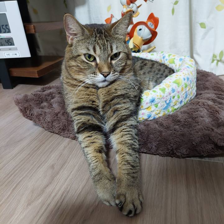 29197638 b6f6 4500 b39c e869827ada77 1643252958888