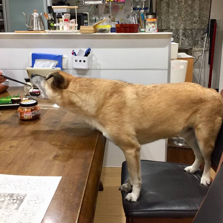 29197870 9c38 4032 9606 b89c2a34b9b2 1533381812072