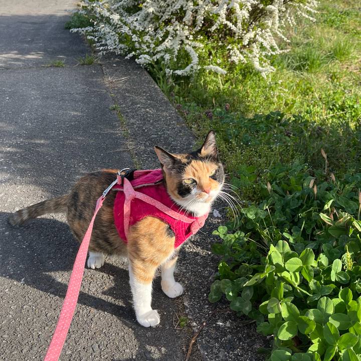 29199c35 315c 4c25 807b 739536f01494 1681171698328