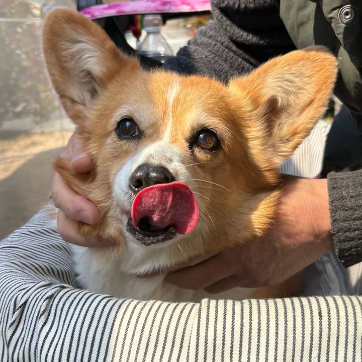 2919b8f8 7ab9 4565 abea ca1aac8cafed 1741490078814