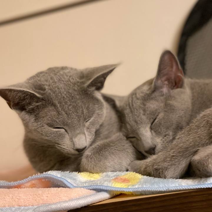 2919be5e eeac 48c7 832e 0d812f9d501f 1607249430130