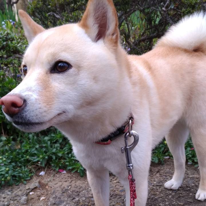 2919d6a4 8728 498b bcfb 9277984f37a6 1554967750916