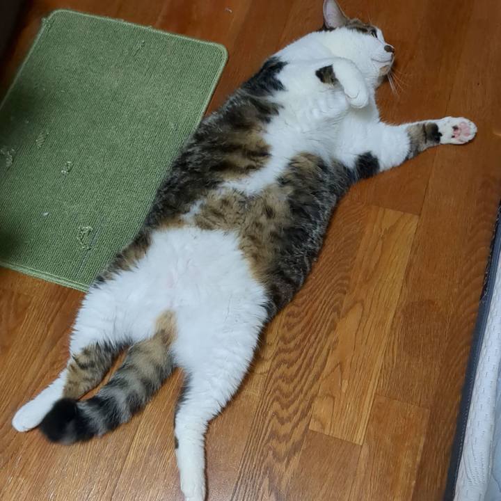 2919e3f0 2213 46d6 a786 0af1644dc8fd 1726175561876