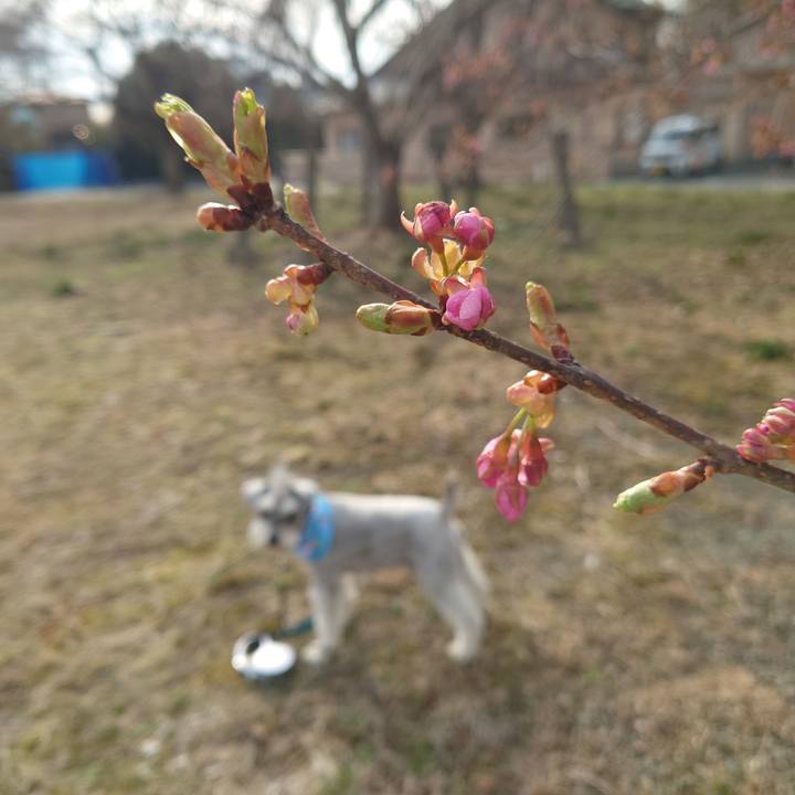 291a42b8 14e9 4327 8fd3 a3e91a7cdd7f 1774405211422