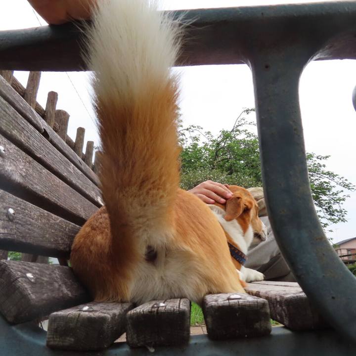 291a4484 913a 4d79 99fd 969d2bffc2e4 1621735789453