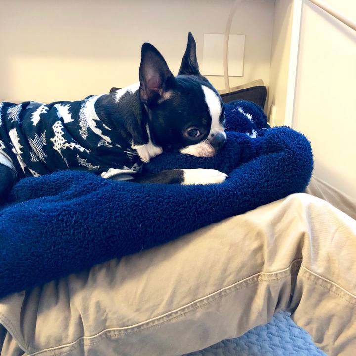 291a44b1 f394 4cd4 9c6a 3d6c63264785 1518243772829