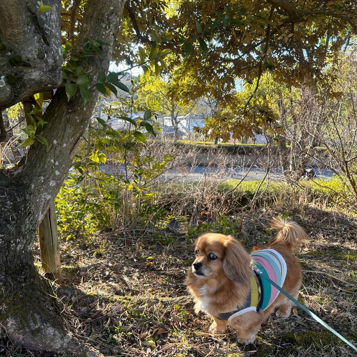 291a804c 2565 445d 839a a1ef4c8404a3 1677367311617