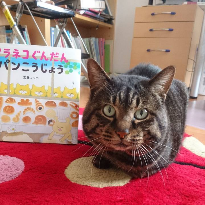 291a98ec 7e34 4c9a b7c7 4f99e41a41fb 1521177208117