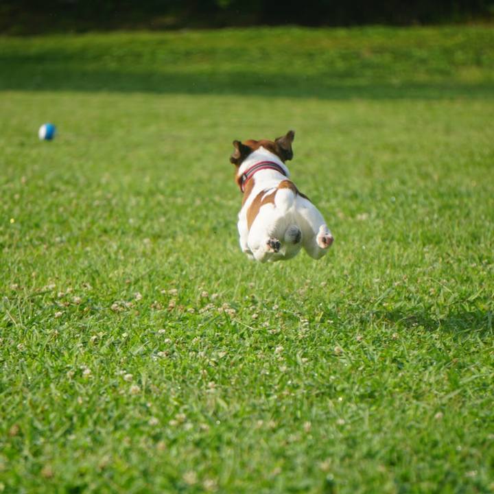 291aa7a9 69c5 4e79 b37e 671d826cada1 1561503039576