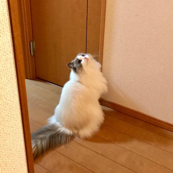 291ab69d e300 4d50 95ed 58efc73a16eb 1583529007664