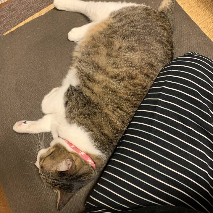 291ab734 4198 4230 86c8 54cdcd3a24bd 1657938491111