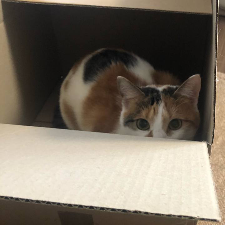 291ab7ce 2649 4694 94fa a2de285b830b 1603079145420