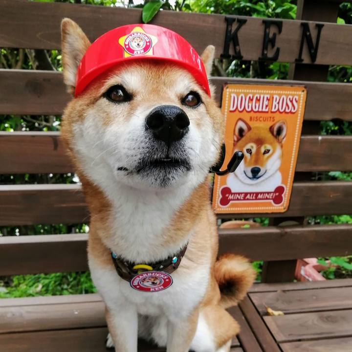 291ad5d3 900c 4692 a2b0 ffe3cfc7b8d0 1624688655425