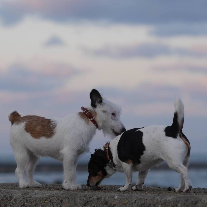 291ae0ef a7b2 4e29 bab3 bc667344c7a1 1544599384565