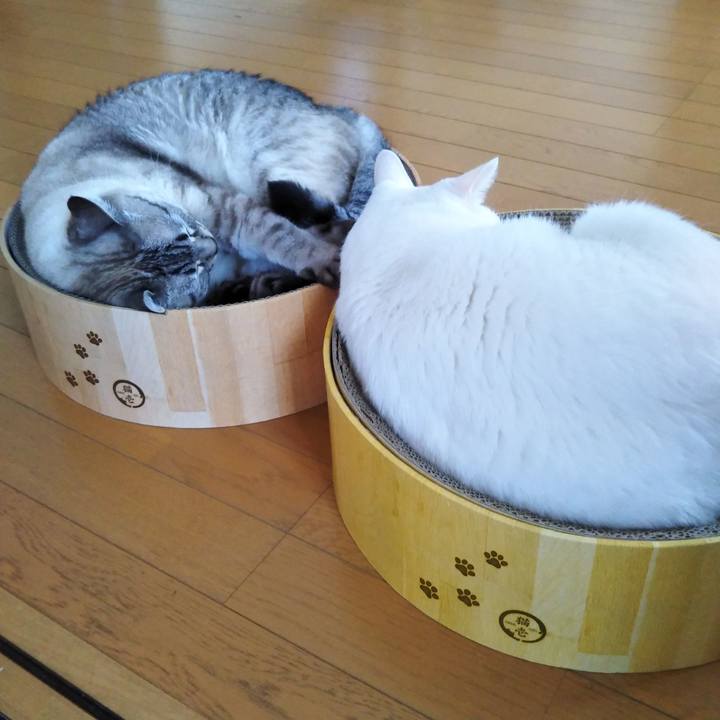 291b00af 17e0 4294 a9da 238cecfdb02b 1594444011381