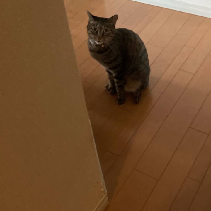 291b1c8e b119 48d5 9536 039bf360f3b7 1625362463482