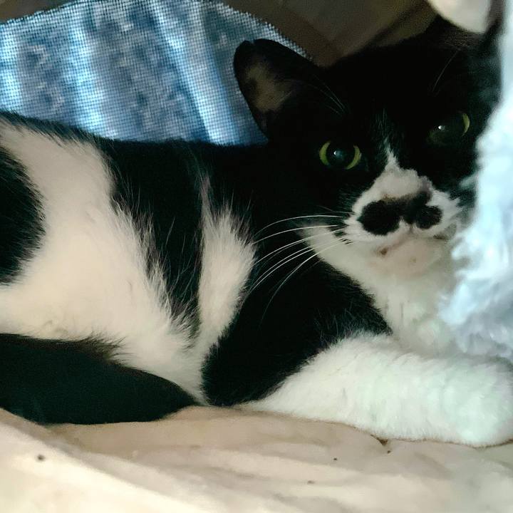 291b4edf ee60 4323 a5ae 9debdeb32ad2 1684053417818