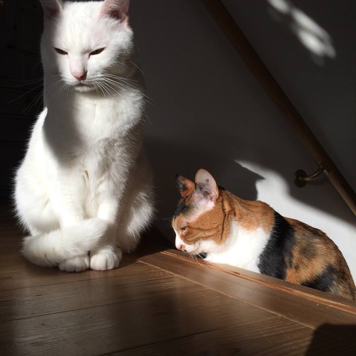 291b63fd 8be1 4eaf 9f13 2d476edbd6cd 1512171900967