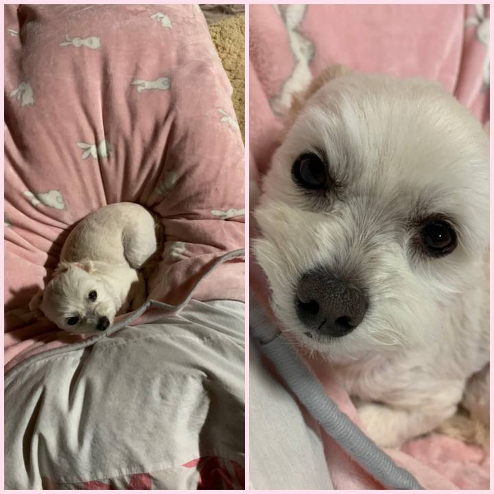 291b89ec dff0 4b90 a7b7 858b55857cca 1587898898840