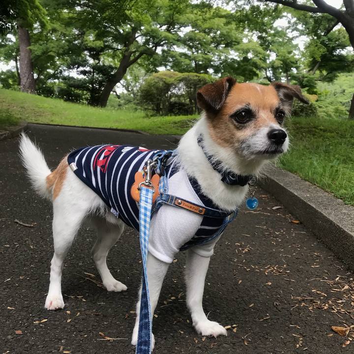 291b9533 2b2b 4392 bb27 625ef5d522b0 1529223706460