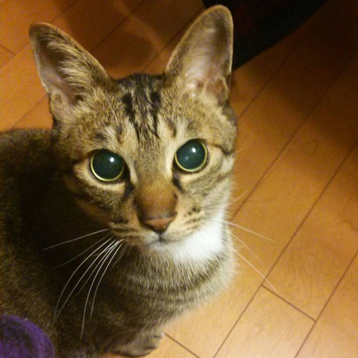 291bd039 3b86 4431 ab24 64b6f5af733e 1649810084682