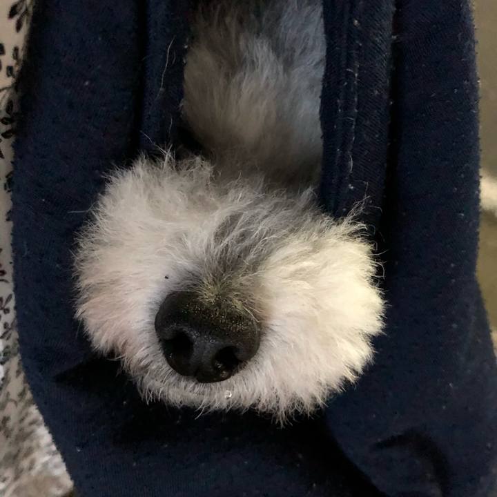 291bf1fb a44c 4ae2 881f 10a2c573378b 1661220849589