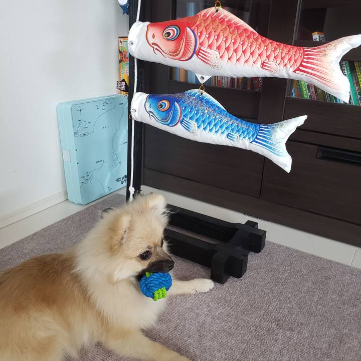 291c1ebc 5822 4ff4 8e39 0697240897af 1620268426095