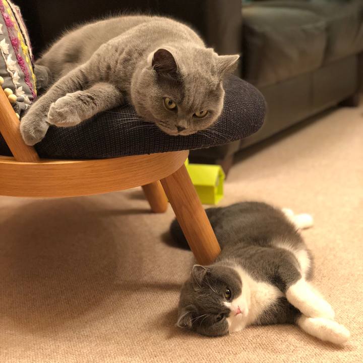 291c6d6d 311a 49ea b40f 46c454d8f16f 1515237904589