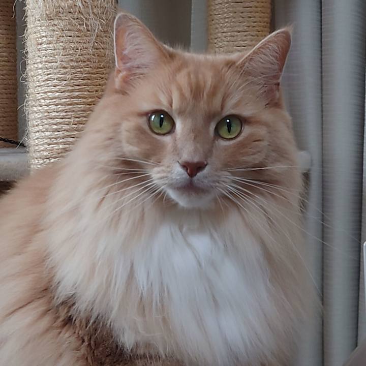 291c7ad8 f901 47b2 87c5 0944b63a88cf 1638672137121