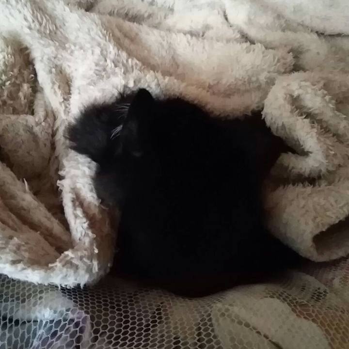 291c8933 e1d2 43b0 9ba3 bf96c1ea1af5 1520607229844