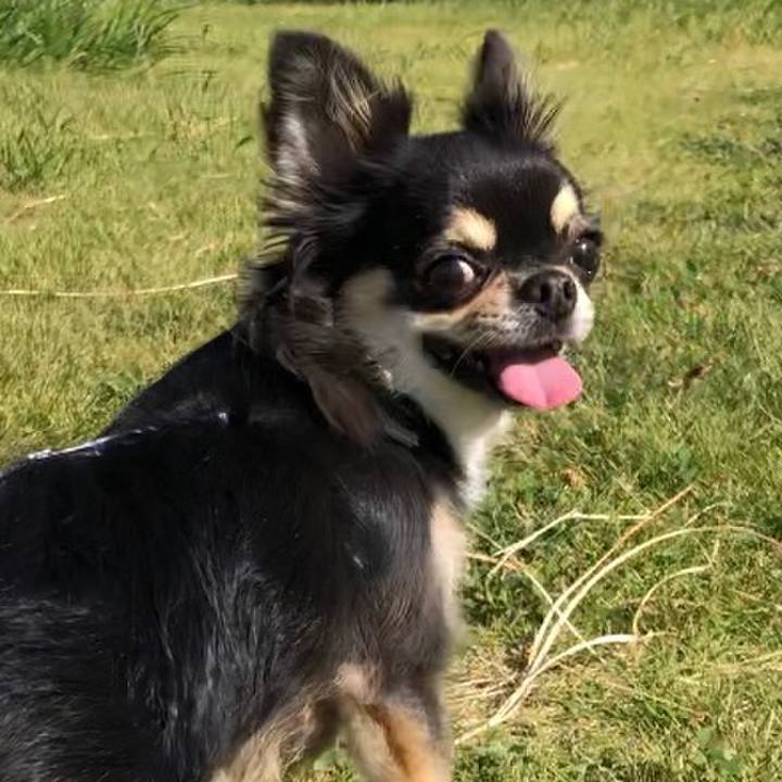 291c8f3d 1cdd 419c 88a5 843f912c4707 1570676492251