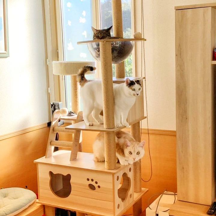 291cbbac 59e6 4b84 b02c 97c38897cbc0 1758239592166