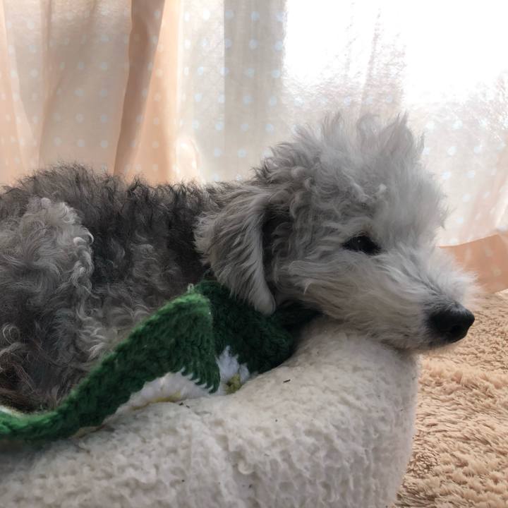 291d0fe5 7e41 45ec b548 4f272f685478 1609733390326