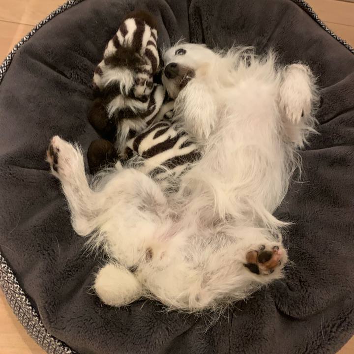 291d69fb fb26 4d58 bafe 9046022f8704 1661174414543