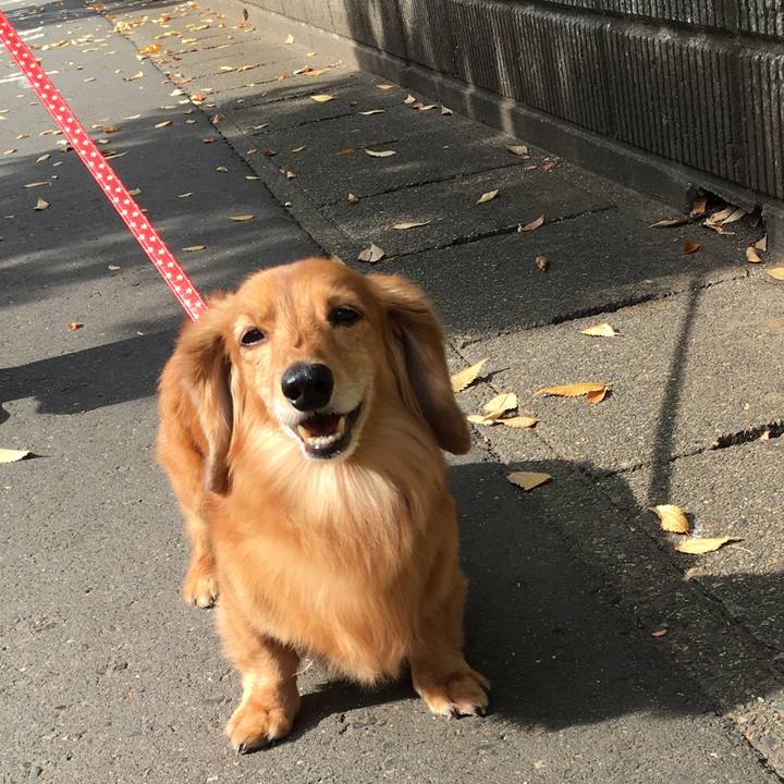 291d7622 4476 4c19 aea1 de8d782b8b48 1604236215280