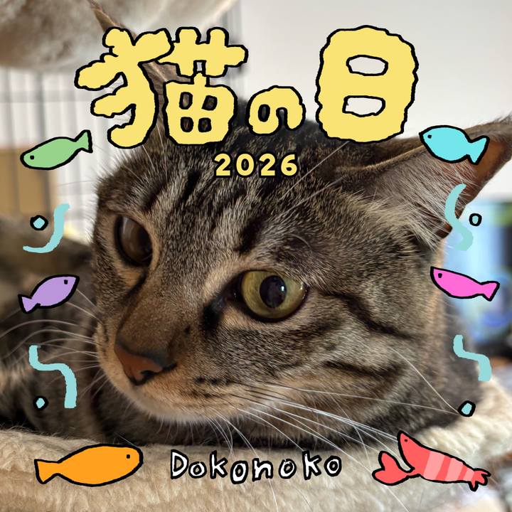 291d9f88 159b 4dd5 bd99 541ebd5c2d9a 1771723209151