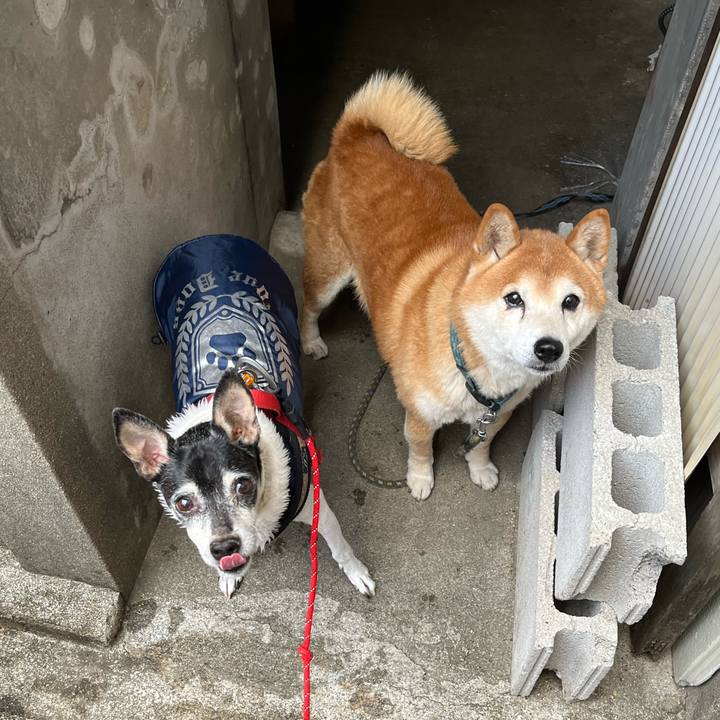 291da32d 305d 45ac 919e 5e543818cb35 1638668040599