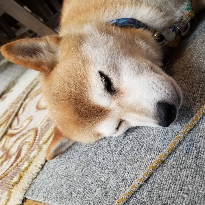 291e0bf2 03da 4b98 8a03 60ac0487f0a6 1563675893502