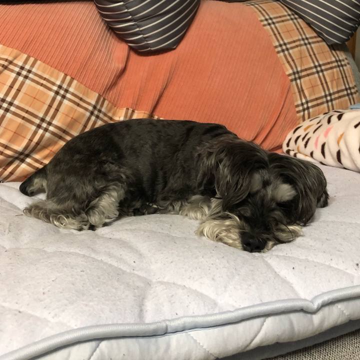 291e28a7 473e 4c92 befe 0330862e92dd 1683714413795