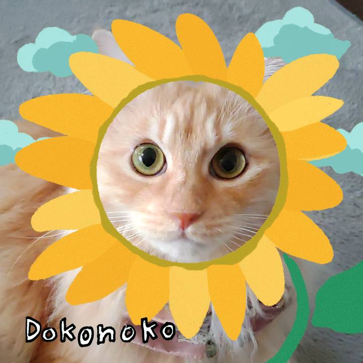 291e4ded b109 4270 9add 5c4f08e82813 1723173547500