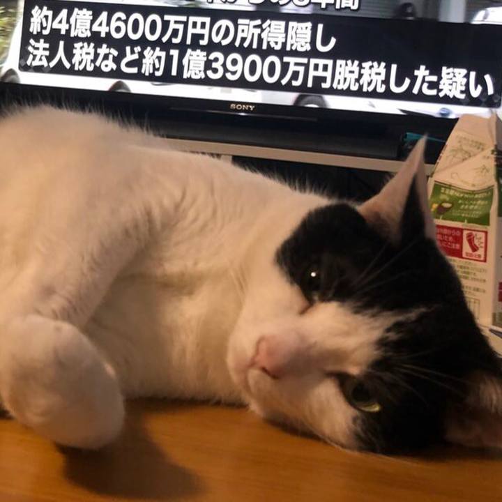 291e658f 7db9 4c55 8fcd 5248b3141d86 1591239899545